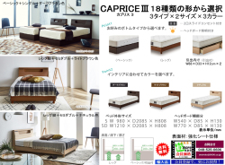 SDもあります。